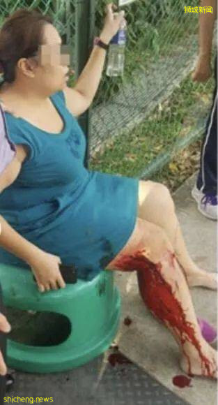 小心!有人在新加坡濱海灣花園徒步,被2米蟒蛇咬傷