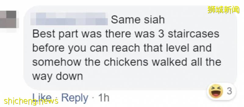 新加坡解封首個周末,22起交通事故!野雞闖入地鐵站!已經忘了怎麽出門!