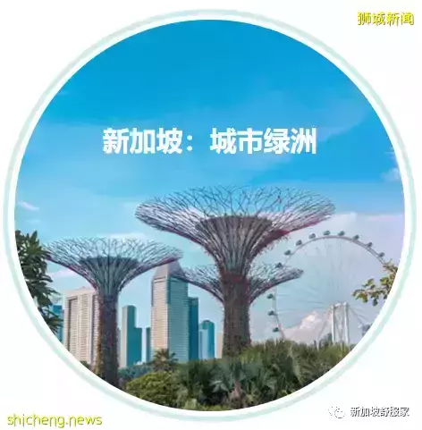 緣何在新加坡買房安家和投資置業