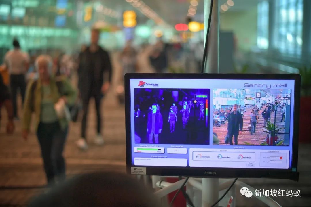 倒吃甘蔗的新加坡如何在疫情中从“重灾区”成为“模范生”