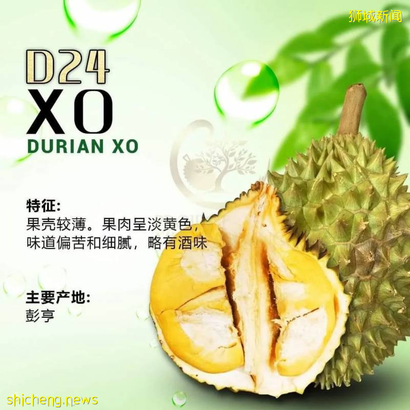 新加坡美食攻略之 -----榴梿篇