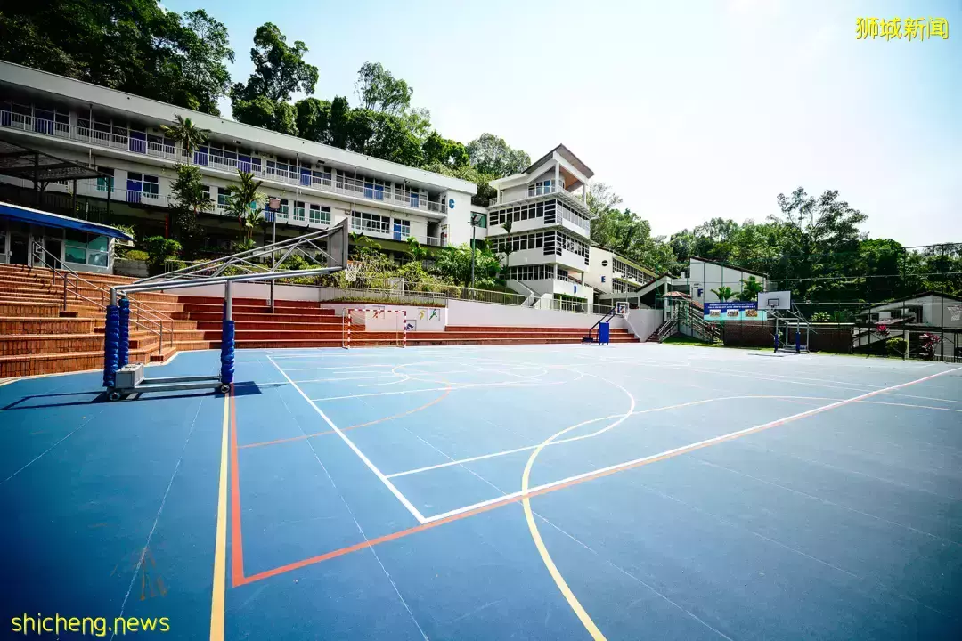 史上最強攻略!在新加坡如何選學校?國際學校vs政府學校,哪個好