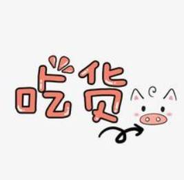 贪吃的犀牛鸟竟然为了吃的天天来报道!快来看看这对鸟长啥样