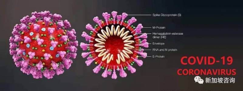 新加坡保险---新型冠状病毒理赔需知