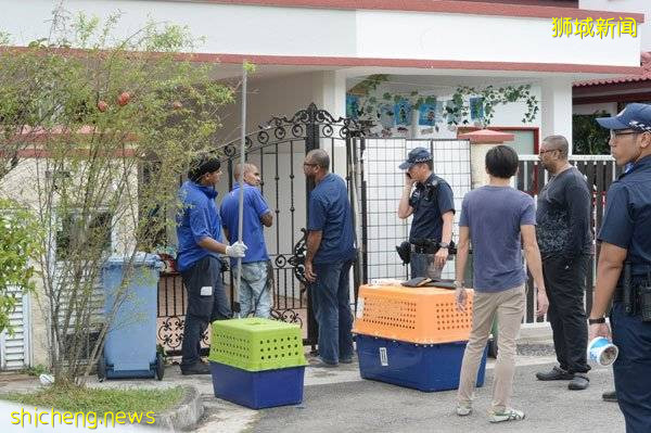 寵物中心虐死狗火化滅迹 冷血女老板判監