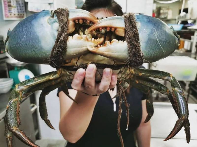 不出国也像度假,坡坡有哪些值得打卡的“海景”餐厅