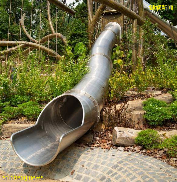 叢林遊樂場、自然博物館、山路徒步……新加坡這個公園翻新後更好玩啦