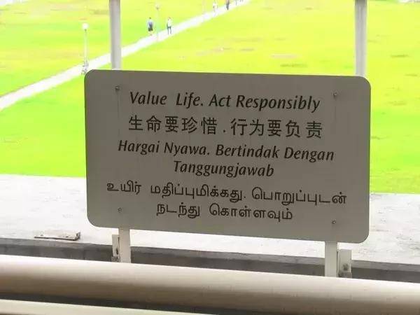 新加坡人的中文水平到底如何？看了这个街头调查，真的哭笑不得