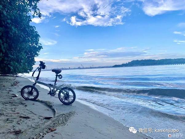 網友親測!新加坡十條經典徒步線路大推薦