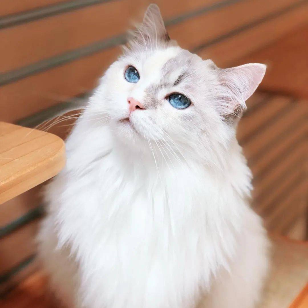 去哈芝巷只知瘋狂拍照？這些高顔值歇腳聖地你一定得知道