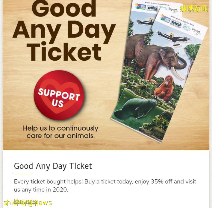 號外!新加坡可以認養企鵝、猩猩、樹懶,能帶回家嗎!