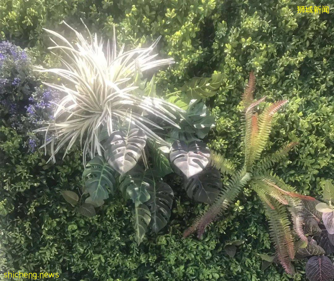 三年未歸家，一名來新加坡打工的普通工薪族的自述