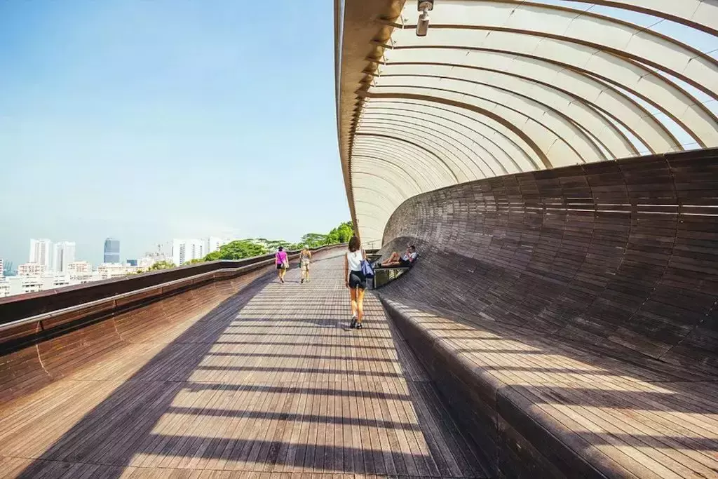 隐藏秘籍！新加坡26条远足路线：寻找长尾猕猴、红毛丹种植园，眺望最美海峡