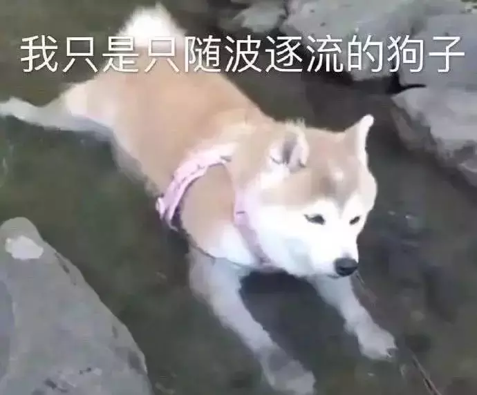 【苟活】我是新加坡第一個因爲大姨媽失血過多而進急診的衰狗嗎