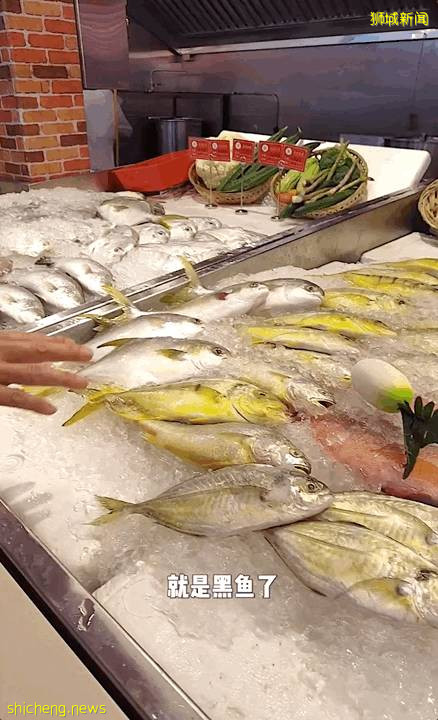 潮汕美食“打冷”,在新加坡也能吃到!百種小吃,人均20新