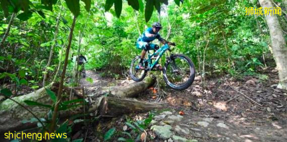 2021版新加坡隐秘小众骑行路线攻略!骑上自行车来探索这座熟悉的城市吧