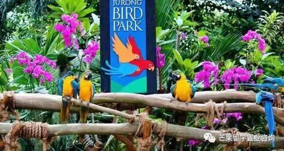 新加坡“親子娛樂”好去處盤點(1)