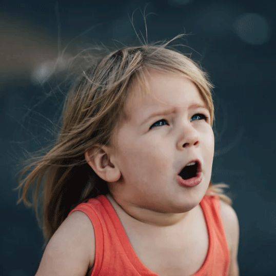 是什么让新加坡人为之疯狂？答案尽在肉干