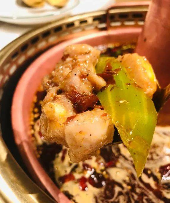 新加坡這種寵物身上,爆發比冠狀更嚴重的病毒