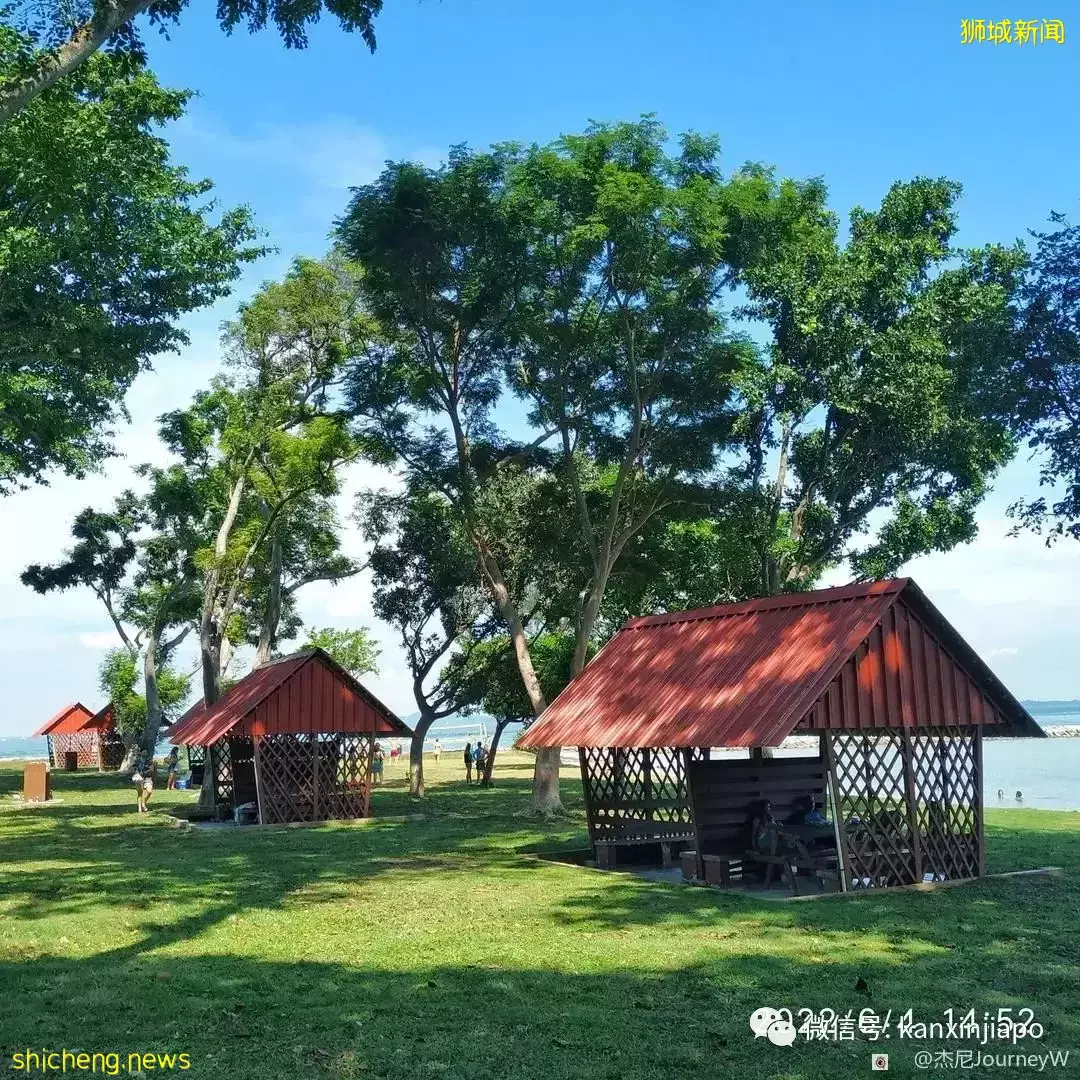 新加坡离岛攻略,半个多小时便能收获美景天堂