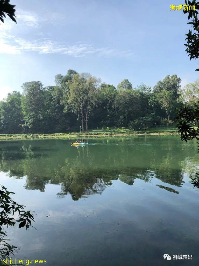 新加坡13家親子皮劃艇推薦!低至$8,3歲可玩,全家一起享受水上漂流的快樂