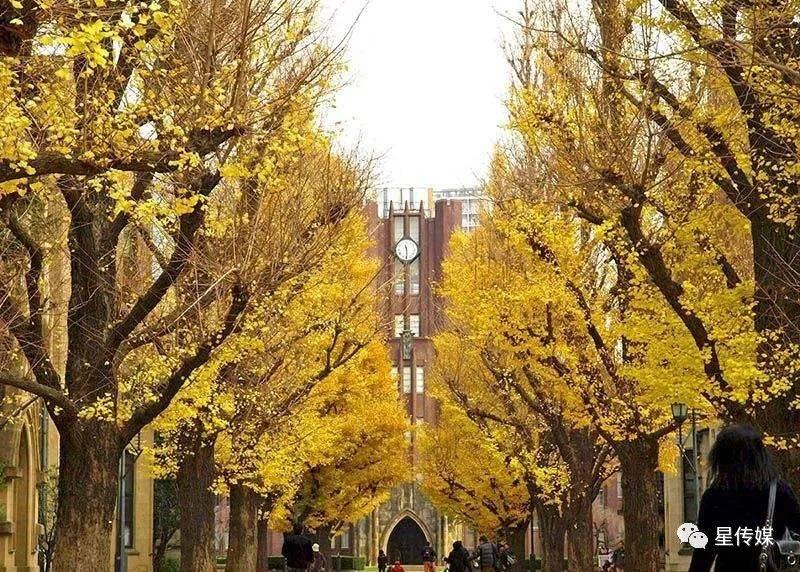 东京第一,新加坡第二,我国城市排名如何