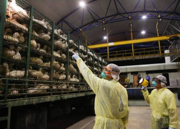 ◤肺炎疫情◢ 担心检测塞车提早出门   送货司机反困5小时 