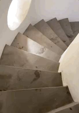 新加坡也有比萨斜塔?!小众打卡地推荐来了