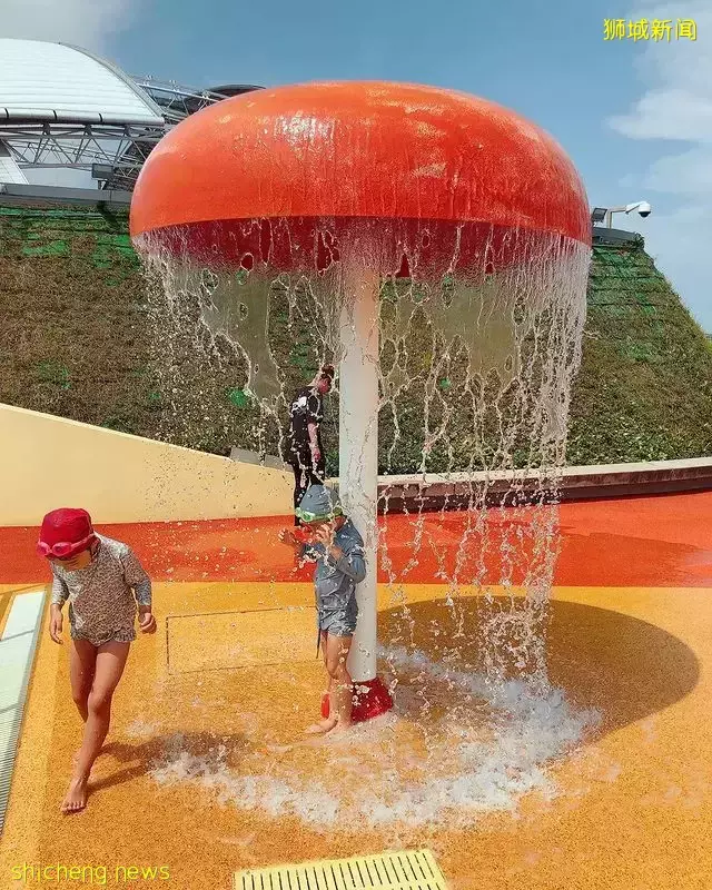 学校假期到,带娃出去玩水咯!精选新加坡亲子水上乐园,免费不用钱😎炎炎夏日泡在水池里💧