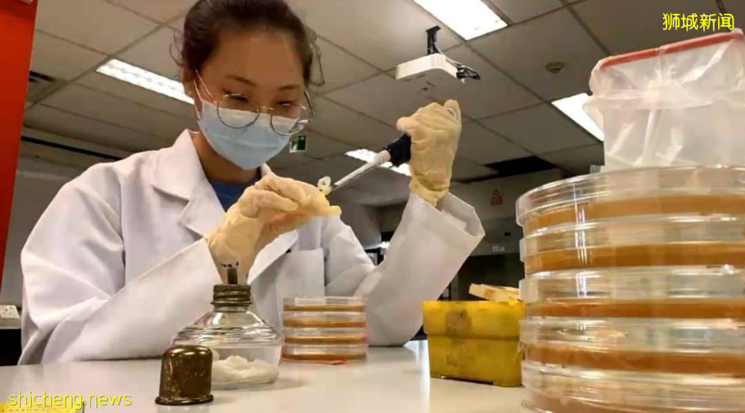 69名科学家获得新加坡A*STAR奖学金,为梦想学习前进