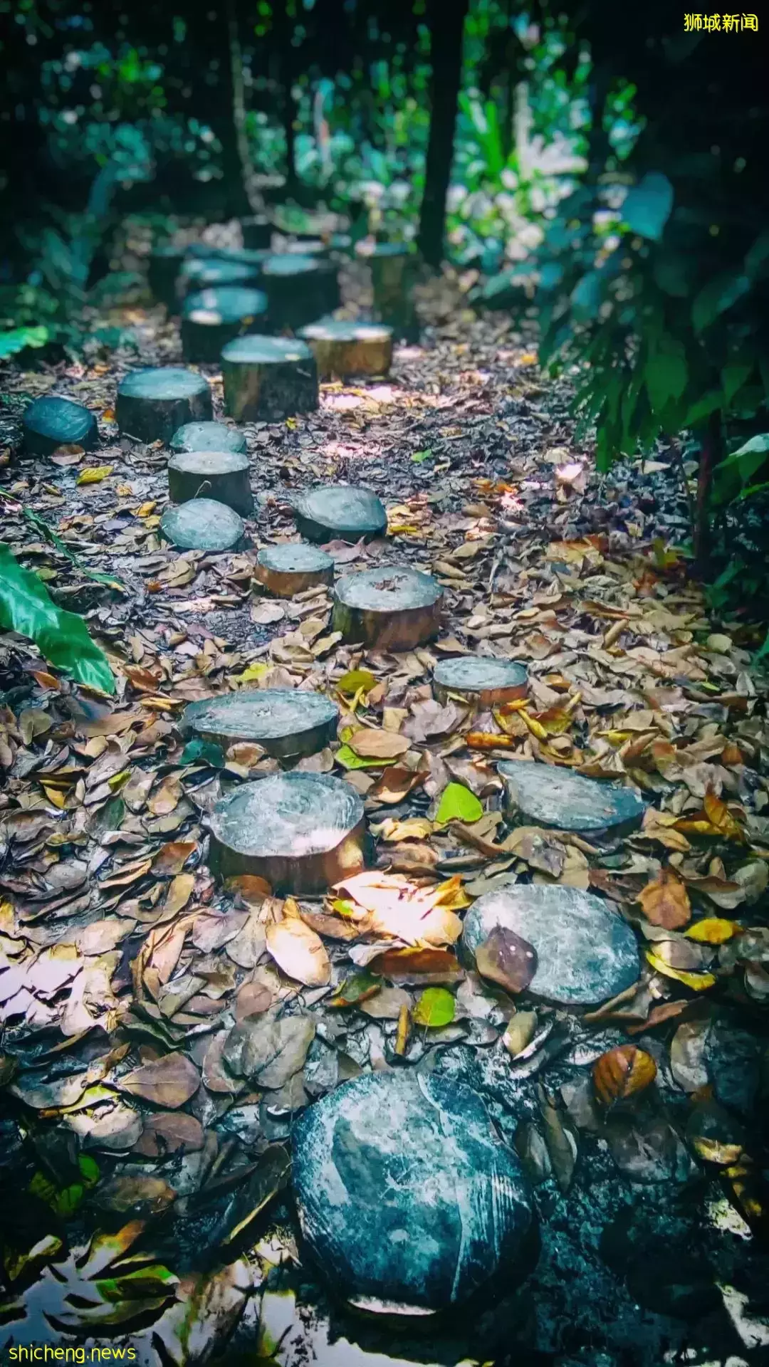 還沒安排4天長假？亞洲最大兒童花園，免費還無需預約