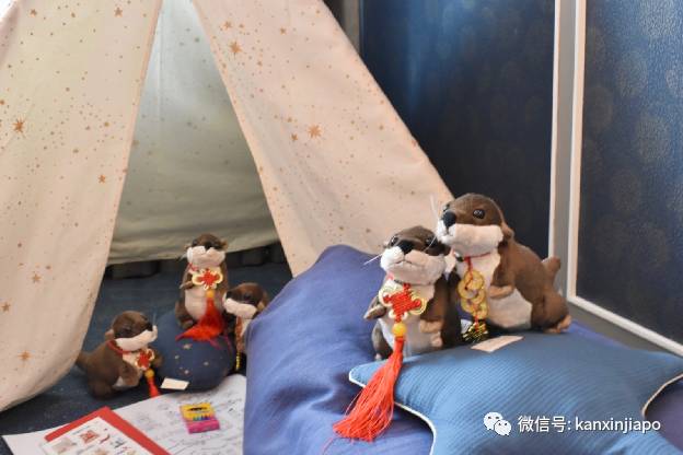 一群水獭惊现新加坡酒店,带娃带情侣开启超萌宅度假