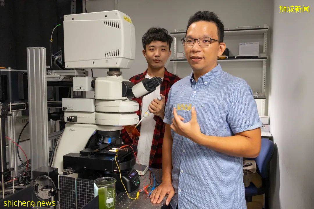 藻类也能发电?NTU 科学家最新研究