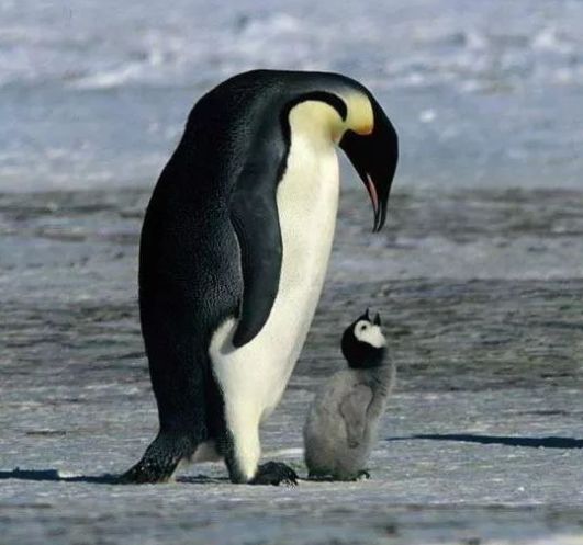 640?wx_fmt=png&tp=webp&wxfrom=5&wx_lazy=1&wx_co=1