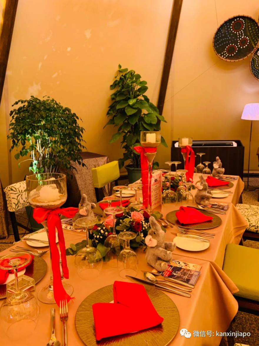 新加坡夜間野生動物園，現在可以搭帳篷吃晚餐了