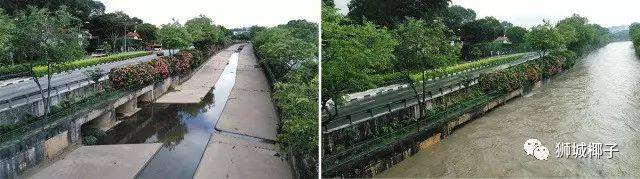 昨天！新加坡遭40年来最强暴雨袭击，全岛多处被洪水淹没，驾车犹如水中行船