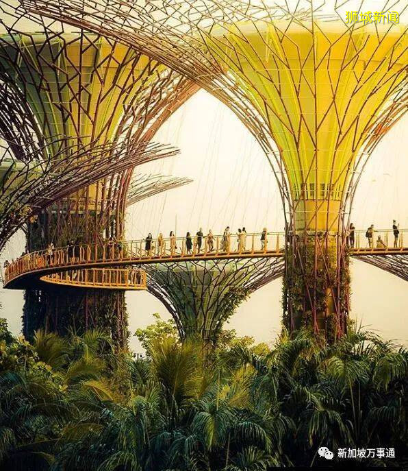 新加坡——全球最美花園城市