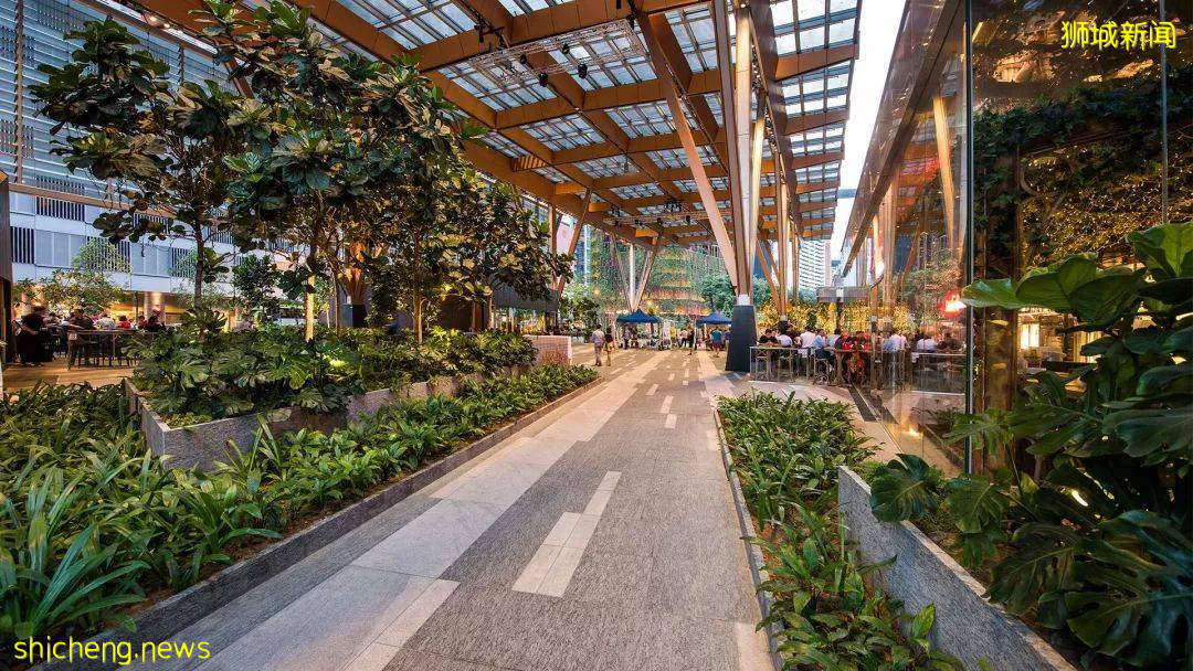 新加坡頂級設計，都在這裏