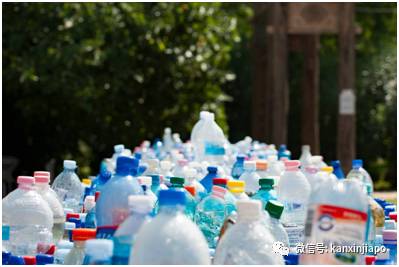 兩年後，新加坡買飲料要給易拉罐和塑料瓶交押金了