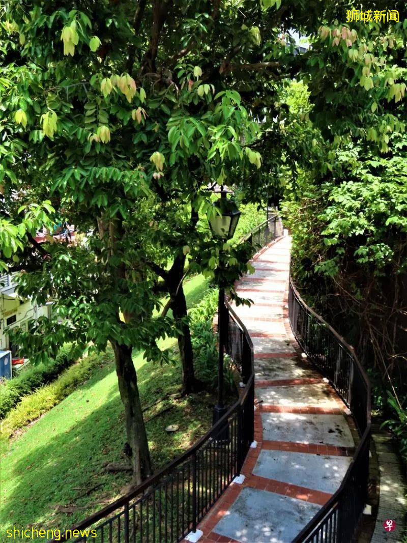 漫步安祥山 一览战前老店屋、五脚基骑楼、花窗花砖，感受百年风情古韵