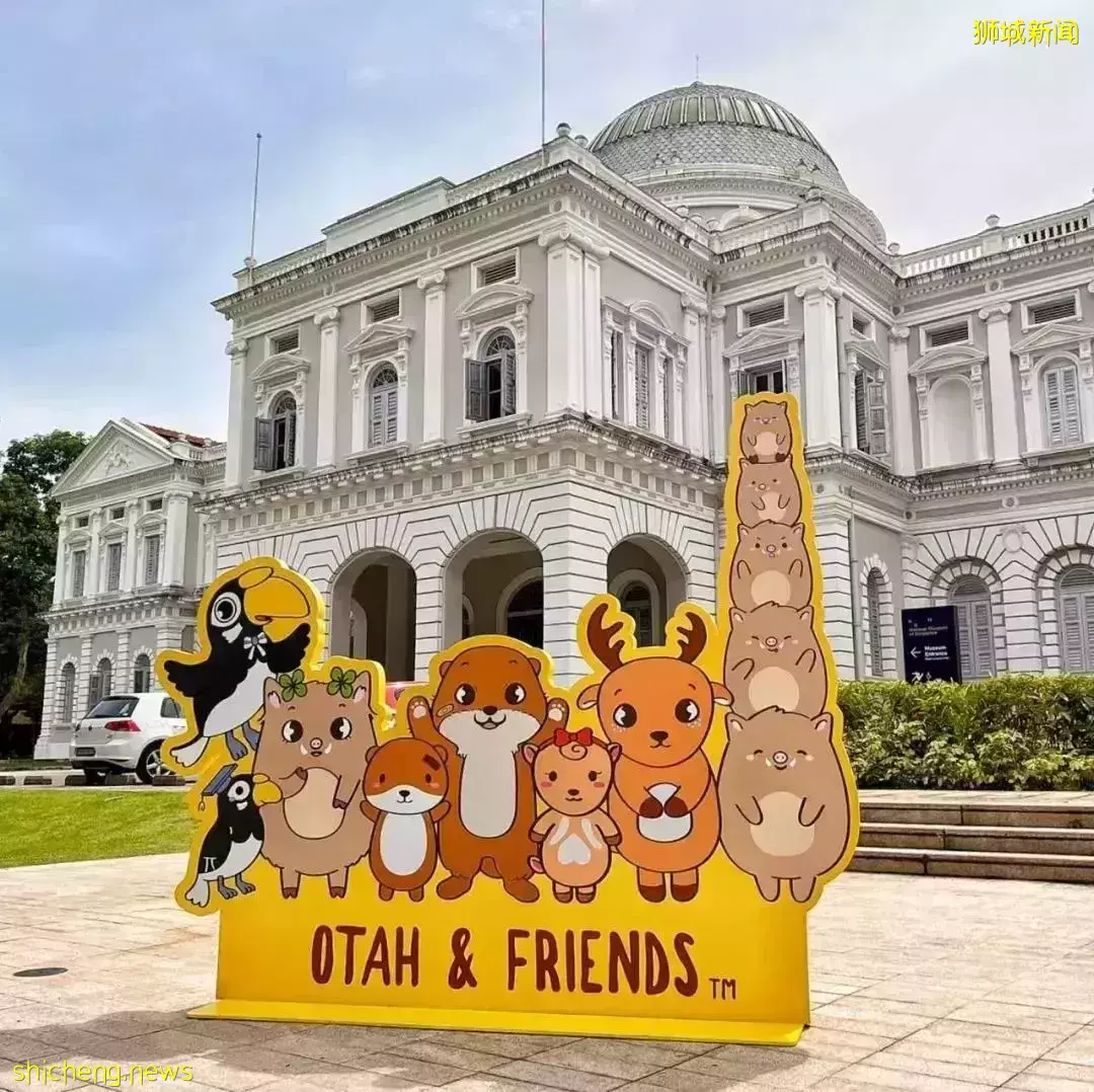 【周末去哪】聖誕仙境！樟宜奇妙之旅！免費嘉年華活動！Jellycat聖誕新品