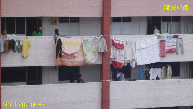 新加坡組屋變“客廳”？有點格局！養雞場、小叢林、毛片場