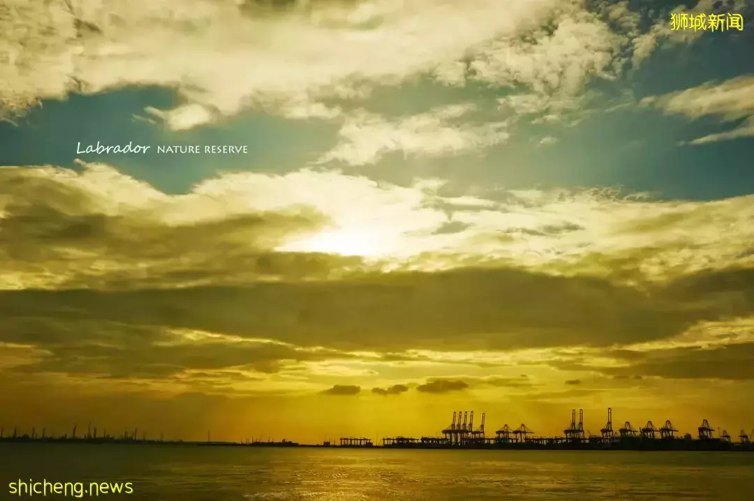 新加坡南部要建新公园,占地200公顷!这些地方太美了打卡必去