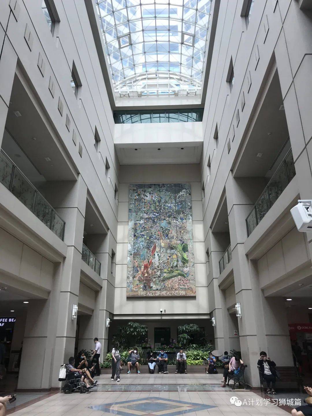 4月29日，新加坡疫情：新增35起，其中社區16起，輸入起；8人與陳笃生醫院女護士有關，七人是樟宜機場T1職員的家屬