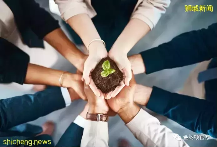 什么是新加坡家族办公室?新加坡家族办公室的类型有哪些