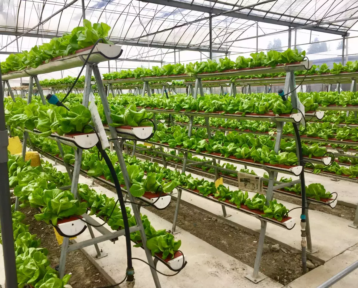 到新加坡旅遊 轉角處處有驚喜