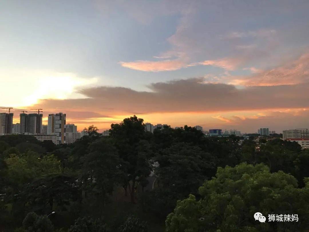 来新加坡13年！7次申请PR被拒！试遍所有“秘诀”，直到