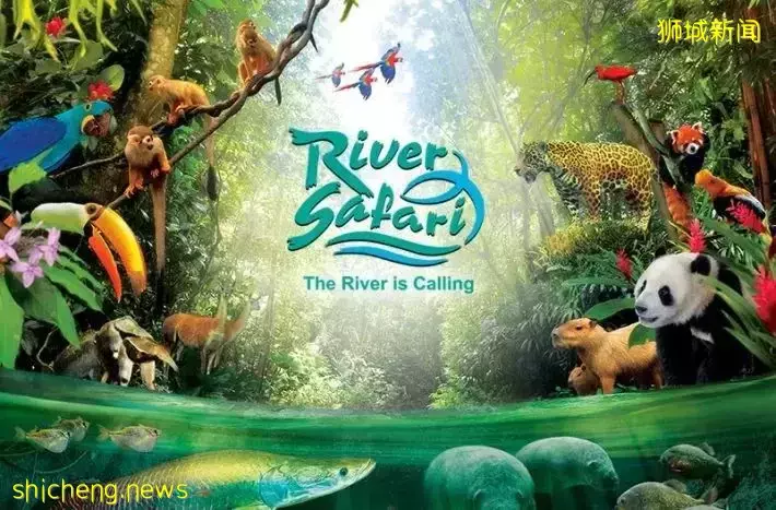 小坡島種草機!春遊野餐正當時,讓大自然治愈你