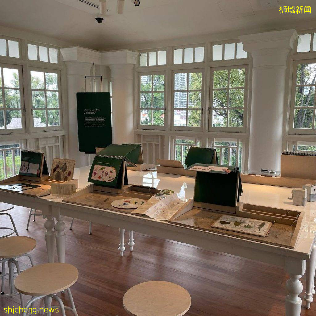 植物園Gallop Extension攻略🌳山脊小徑+戶外遊樂設施+森林探秘館+藝術畫廊、走進大自然