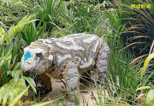 门票6折！一只恐龙有多大？亚洲首个积木恐龙世界，超过60只在新加坡动物园和河川生态园与你捉迷藏